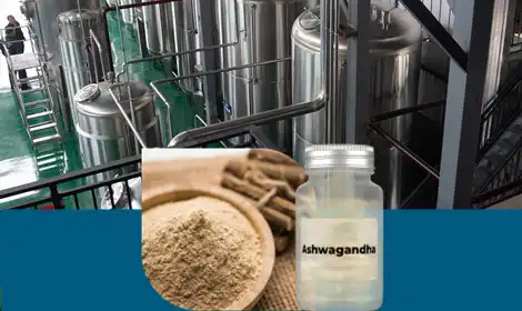 How Ashwagandha Extract Is Made: Extraction Process and Quality Control